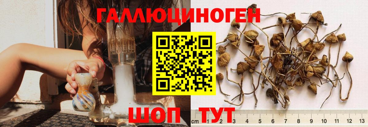 Галлюциногенные грибы MAGIC MUSHROOMS  Вход с VPN  Нефтеюганск 